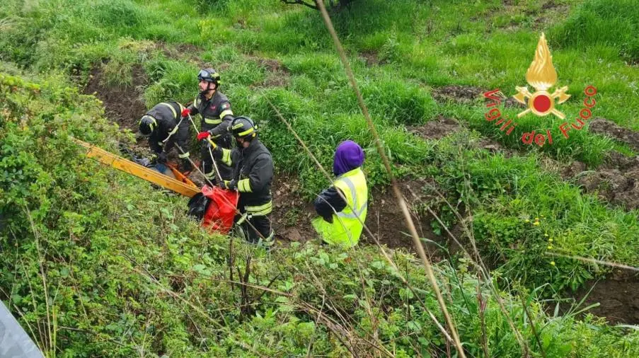Pianopoli, precipita in una scarpata con la bicicletta: soccorso dai Vigili del Fuoco images Pianopoli, precipita in una scarpata con la bicicletta: soccorso dai Vigili del Fuoco
