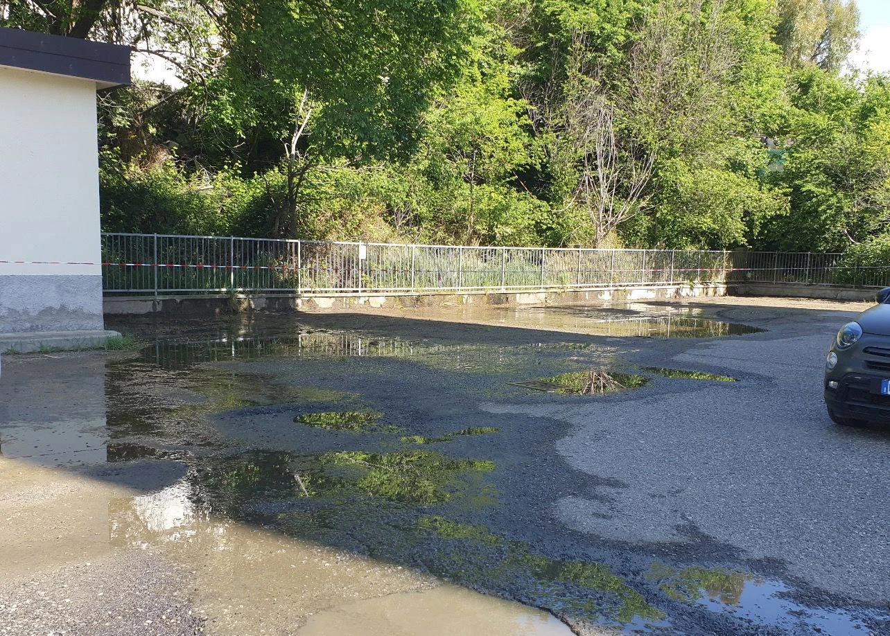 Catanzaro, la denuncia dei residenti di Viale Isonzo: “Grave perdita d’acqua, situazione fuori controllo”