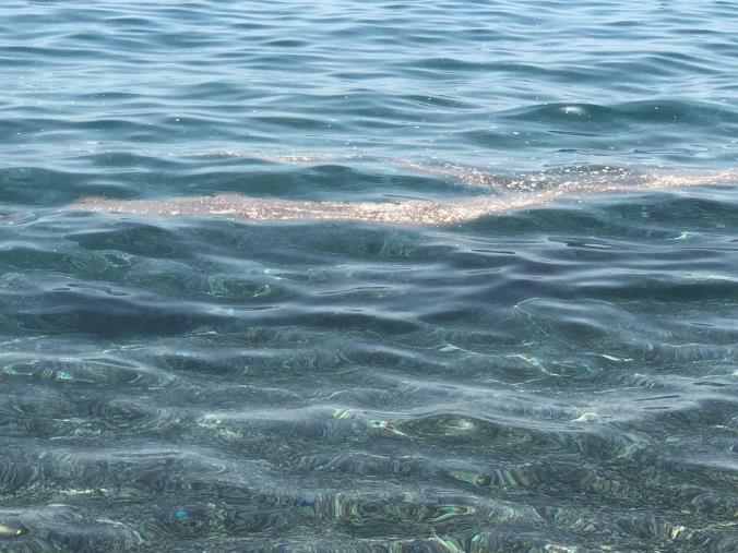 Mare sporco nel catanzarese e nel cosentino: la protesta dei bagnanti images Mare sporco nel catanzarese e nel cosentino: la protesta dei bagnanti