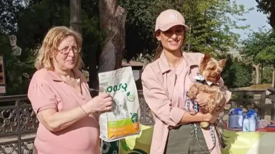 images Successo a Catanzaro per la VII edizione della sfilata amatoriale canina e felina