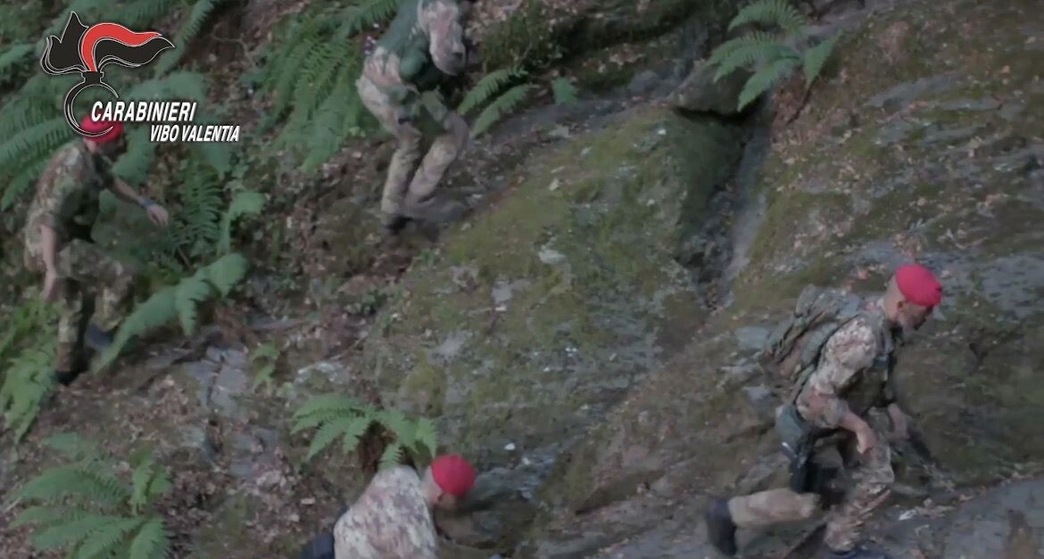 'Ndrangheta tra Catanzaro, Cosenza, Vibo e il Nord Italia: 15 arresti (VIDEO) images 'Ndrangheta tra Catanzaro, Cosenza, Vibo e il Nord Italia: 15 arresti (VIDEO)