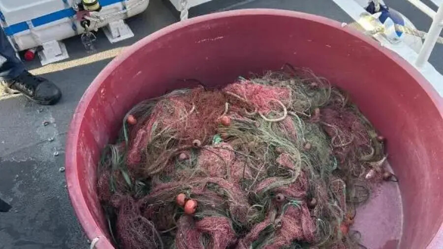 Pesca illegale di novellame di sarda, sanzioni e sequestri di reti nel Reggino images Pesca illegale di novellame di sarda, sanzioni e sequestri di reti nel Reggino