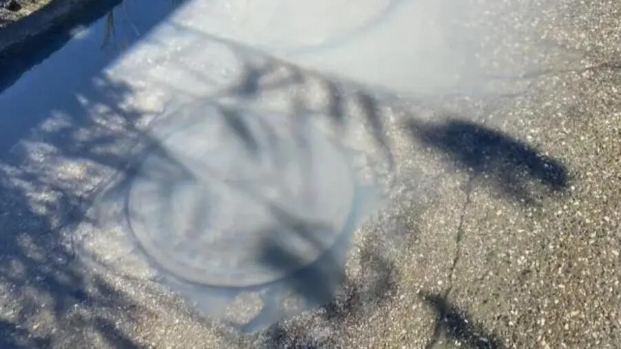 images Catanzaro, la segnalazione del consigliere comunale Costa: "Fogna vicino alle case a Santa Maria"