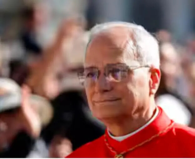 images Il Papa scherza con l’Istituto Teologico di Calabria dopo i tanti applausi: "Grazie per svegliarmi"