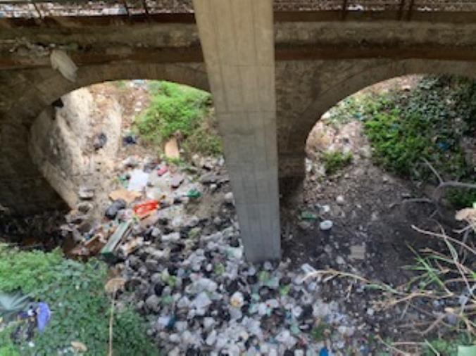 Montagna di rifiuti tra il Tribunale e la Corte d’Appello di Catanzaro, la denuncia di Veraldi (VIDEO) images Montagna di rifiuti tra il Tribunale e la Corte d’Appello di Catanzaro, la denuncia di Veraldi (VIDEO)