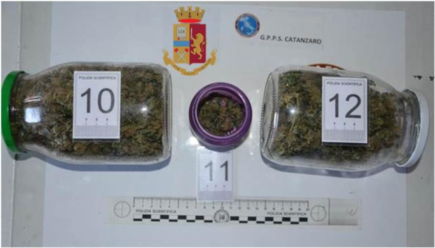 Catanzaro, il magazzino diventa una serra per la produzione di droga: arrestato un 43enne images Catanzaro, il magazzino diventa una serra per la produzione di droga: arrestato un 43enne