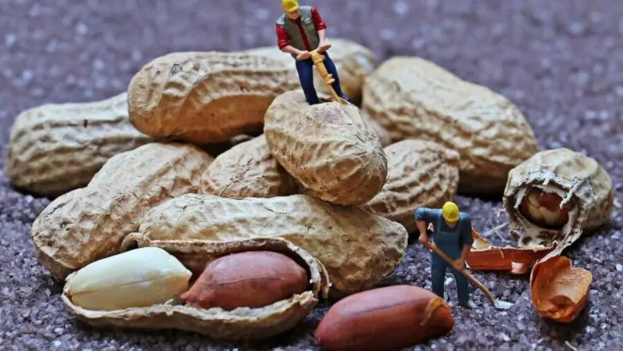 Lettera a Tito, per la il Sud Italia noccioline e briciole ma anche mancette e manette images Lettera a Tito, per la il Sud Italia noccioline e briciole ma anche mancette e manette