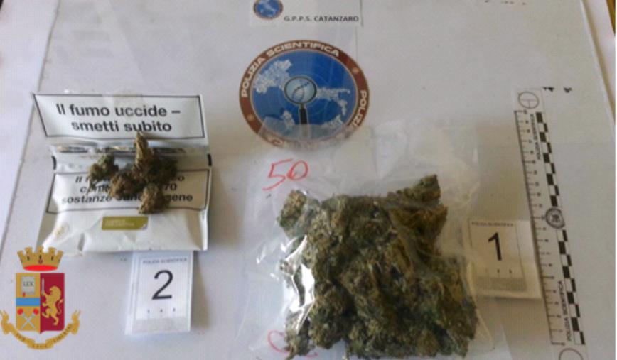 Catanzaro. Droga in casa in un mobile bar, una denuncia a Lido. E a Gagliano trovato oltre un chilo di marijuana in un terreno incustodito images Catanzaro. Droga in casa in un mobile bar, una denuncia a Lido. E a Gagliano trovato oltre un chilo di marijuana in un terreno incustodito