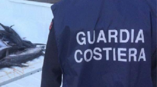 Sequestrati nel Crotonese 63 kili di prodotti ittici images Sequestrati nel Crotonese 63 kili di prodotti ittici