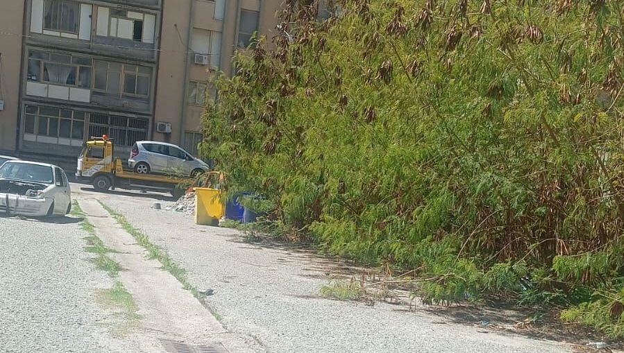 images La Tazzina della legalità: "All'Aranceto illeciti senza sosta, ennesima auto rubata pronta per essere smontata" 