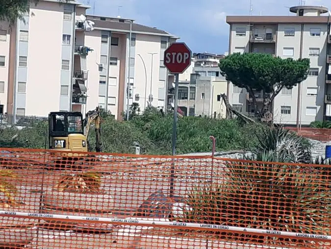Sinistra Popolare RC: "Nuova azione vandalica (tutelata dal Comune di RC) in piazza Milano: altro albero abbattuto" images Sinistra Popolare RC: "Nuova azione vandalica (tutelata dal Comune di RC) in piazza Milano: altro albero abbattuto"