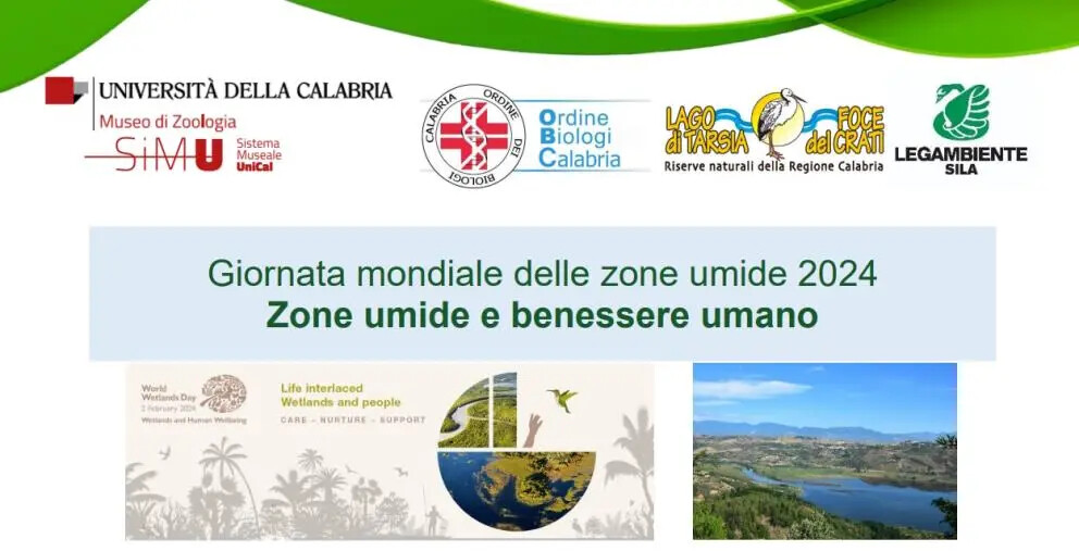 World Wetlands Day, all'Unical la celebrazione della Giornata Mondiale delle zone umide images World Wetlands Day, all'Unical la celebrazione della Giornata Mondiale delle zone umide