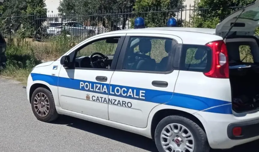 images Beer Catanzaro e Coppa Autostoriche: ordinanza traffico e sosta nel centro storico