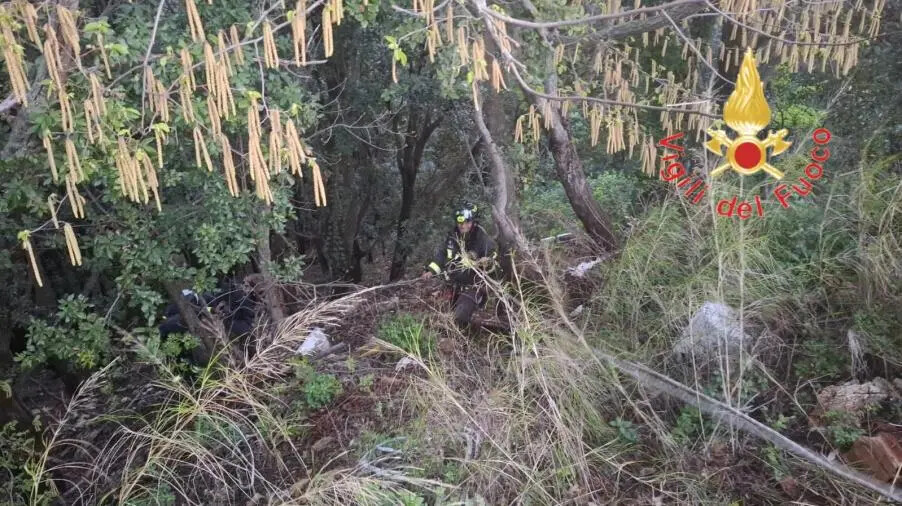 images Si perdono nei boschi di Lamezia durante un'escursione: ritrovati due turisti tedeschi 