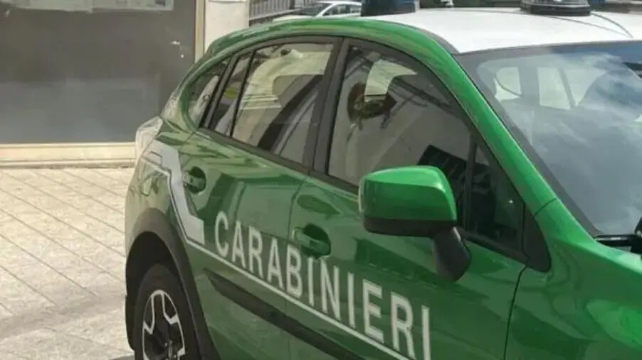 images Tutela del patrimonio naturalistico nel Parco nazionale d’Aspromonte: il bilancio dei controlli