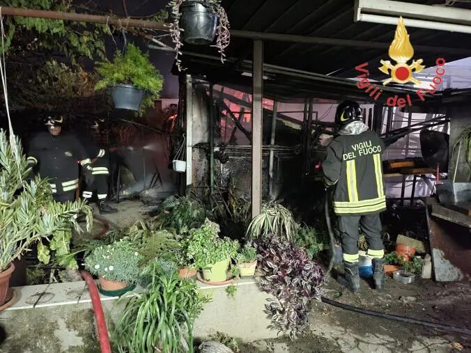 Lamezia Terme, incendio in un deposito di composizioni floreali: tutto distrutto
images Lamezia Terme, incendio in un deposito di composizioni floreali: tutto distrutto