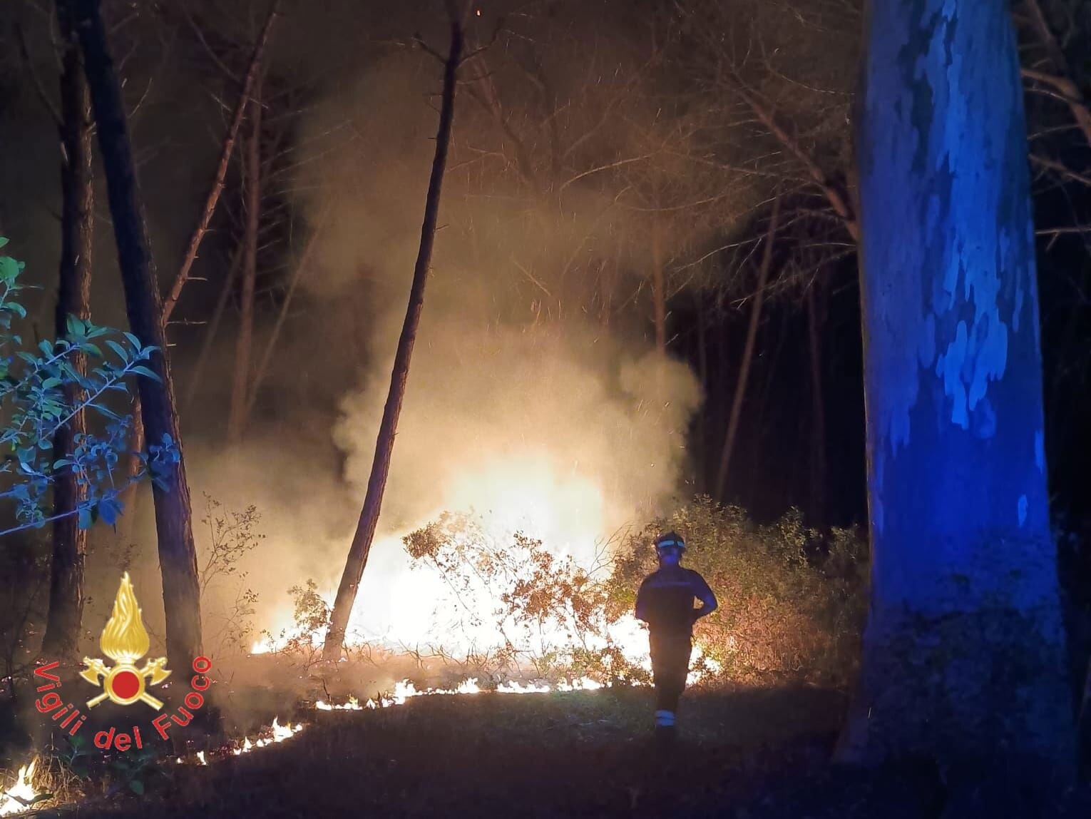 Vibo Valentia, 30 interventi dei Vigili del fuoco in 12 ore per incendi di vegetazione images Vibo Valentia, 30 interventi dei Vigili del fuoco in 12 ore per incendi di vegetazione