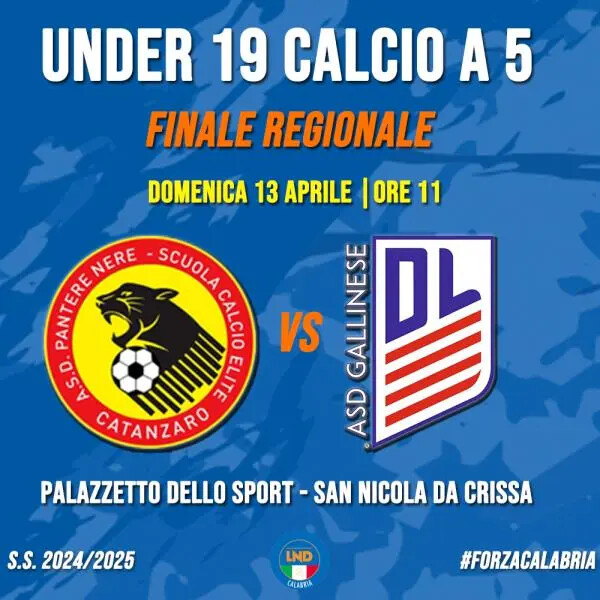 Calcio a 5, il "duello infinito" atto terzo: finale regionale U19 tra Pantere Nere Catanzaro e Gallinese DL images Calcio a 5, il "duello infinito" atto terzo: finale regionale U19 tra Pantere Nere Catanzaro e Gallinese DL