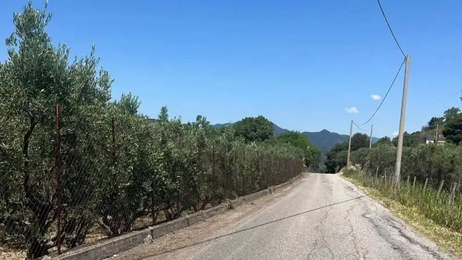 Simeri Crichi, Zicchinella annuncia interventi su viabilità e sicurezza per 600 mila euro images Simeri Crichi, Zicchinella annuncia interventi su viabilità e sicurezza per 600 mila euro