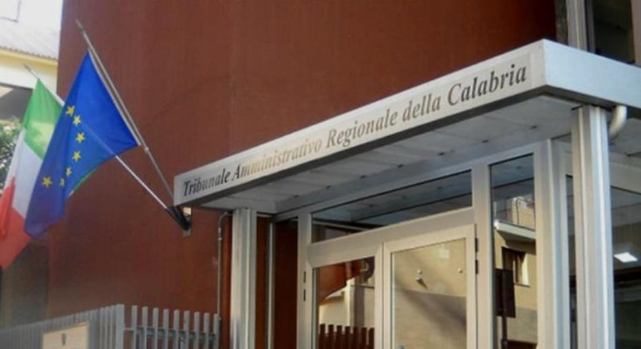 images Abbattimento cinghiali, il Tar sospende l'ordinanza del Comune di Marcellinara 