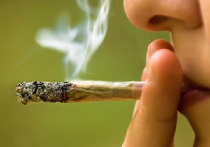Scovato un laboratorio di produzione di marijuana in casa: due arresti nel Crotonese  images Scovato un laboratorio di produzione di marijuana in casa: due arresti nel Crotonese