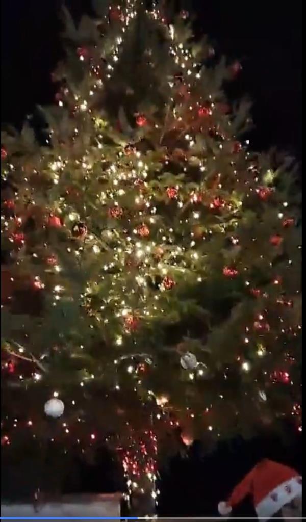 Pentone. Comune e Rotary di Cropani regalano tre alberi di Natale per la comunità images Pentone. Comune e Rotary di Cropani regalano tre alberi di Natale per la comunità