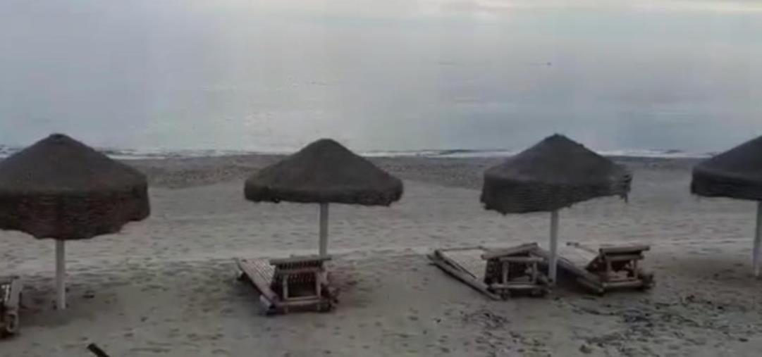 Montauro. Delfini danzano davanti allo stabilimento balneare DaDaDa beach images Montauro. Delfini danzano davanti allo stabilimento balneare DaDaDa beach