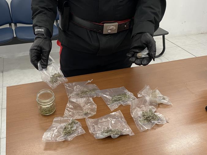images  Catanzaro, 31enne spacciatore arrestato con 68 grammi di marijuana  