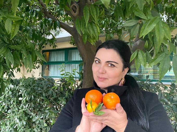 Catanzaro. Dona a 136 famiglie bisognose agrumi del suo terreno, l'appello di Elena Bitonte a "chiunque voglia regalare i frutti dei propri alberi" images Catanzaro. Dona a 136 famiglie bisognose agrumi del suo terreno, l'appello di Elena Bitonte a "chiunque voglia regalare i frutti dei propri alberi"