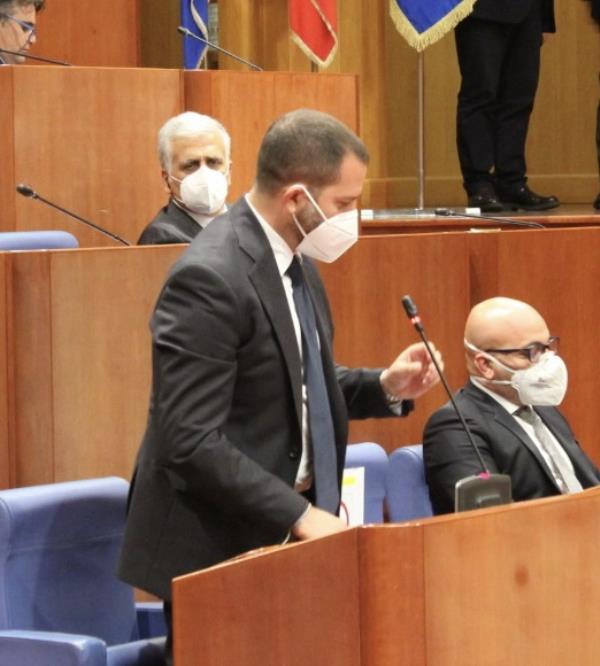 images Emergenza processionaria. Santacroce (FI): "Urgono interventi a salvaguardia del patrimonio boschivo" 