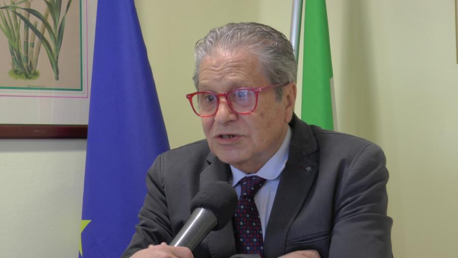 images Vaccini in farmacia. Corapi (Farmacisti della Calabria): "Dosi già dal 16 aprile e a settembre l'immunità di gregge"