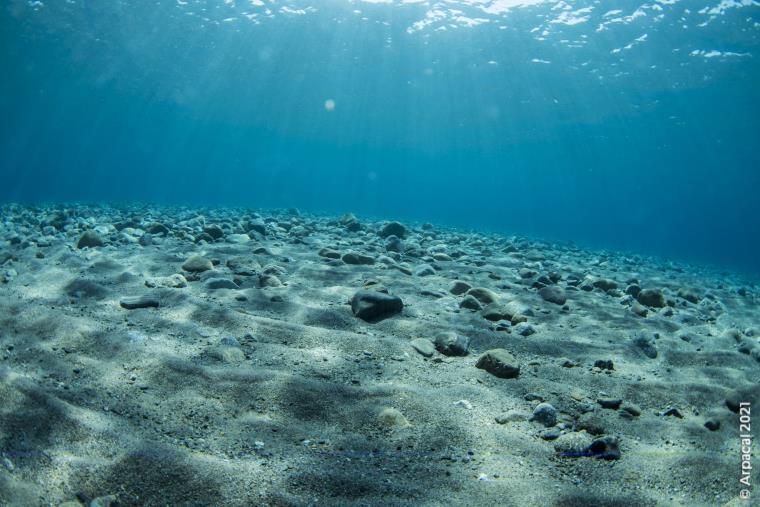 E' online il sito web Arpacal dedicato al progetto SIC Marini Calabria images E' online il sito web Arpacal dedicato al progetto SIC Marini Calabria