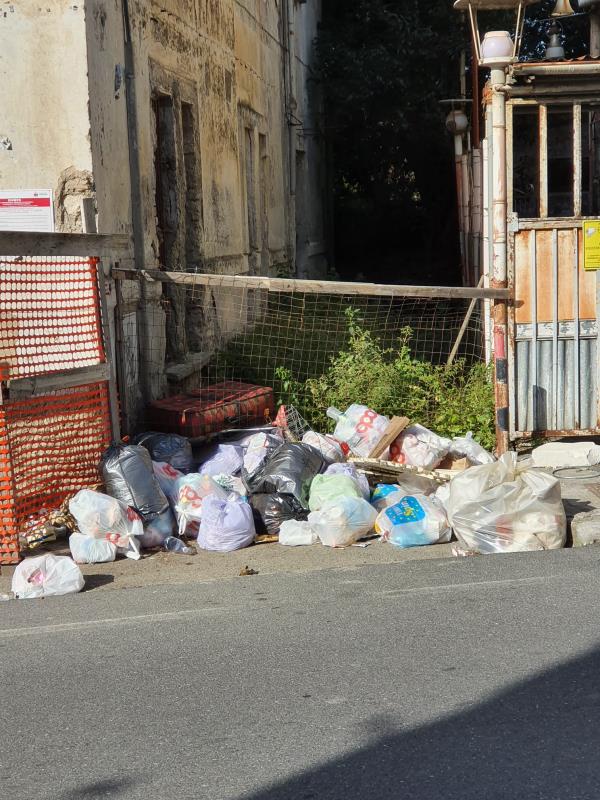 I rifiuti della vergogna lungo la strada principale di Catanzaro Sala (FOTO) images I rifiuti della vergogna lungo la strada principale di Catanzaro Sala (FOTO)