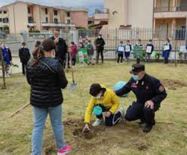 images "Un albero per il futuro": iniziativa dei Carabinieri Tutela della biodiversità&nbsp;rivolta alle scuole&nbsp;