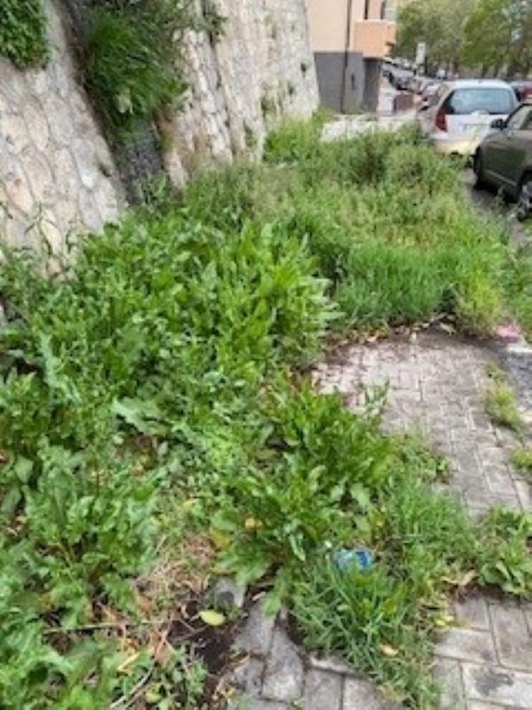 Catanzaro. Stefano Veraldi: "Via Stretto Cappuccini nel degrado e i cittadini fanno da sè" images Catanzaro. Stefano Veraldi: "Via Stretto Cappuccini nel degrado e i cittadini fanno da sè"