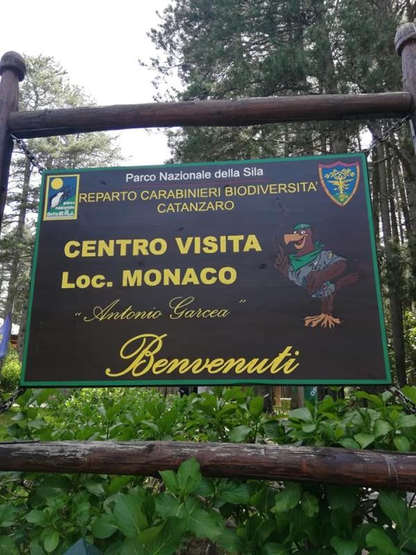 images Rinverditi, ossigenati, nella full immersion al Centro Visite “Antonio Garcea ” di Monaco nella Sila piccola