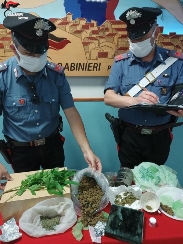 images Petilia Policastro. 300 grammi di marijuana in cucina e 3 piante di canapa indiana in un rustico, 52enne arrestato 