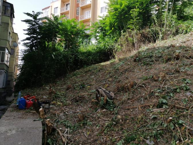 images Diserbo a Catanzaro, domani 14 luglio divieto di sosta in via Cilea 