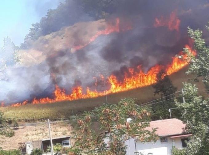 Emergenza incendi, vertice in Prefettura a Cosenza: i sindaci inviteranno i privati alla manutenzione dei terreni incolti images Emergenza incendi, vertice in Prefettura a Cosenza: i sindaci inviteranno i privati alla manutenzione dei terreni incolti