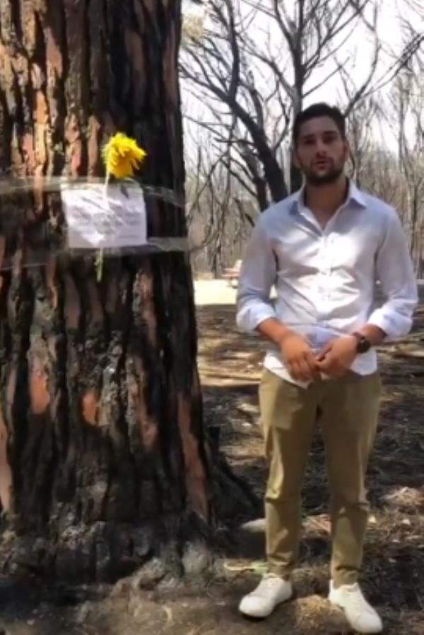 images Catanzaro. "Un fiore per ogni albero": l'invito di Alfredo Moniaci dopo l'incendio che ha devastato la pineta di Siano