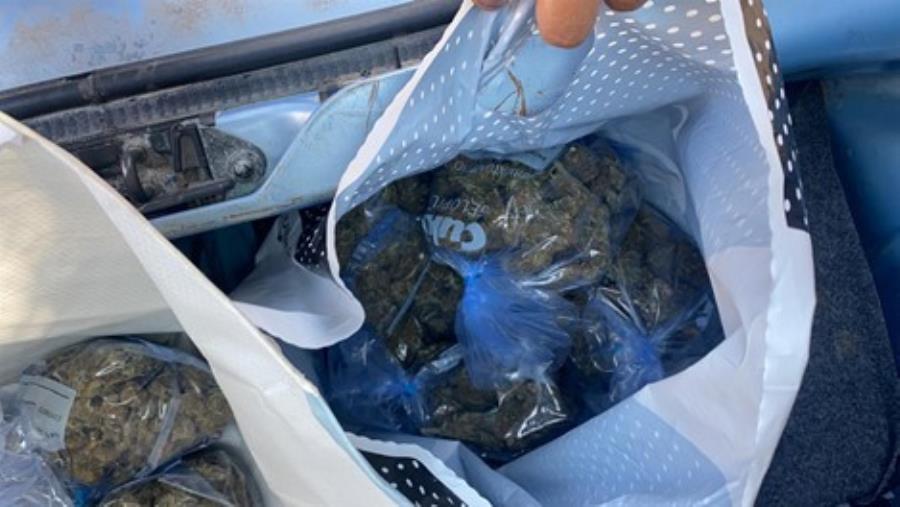 Crotone. Trovato più di un chilo di marijuana in un'auto abbandonata di proprietà di una persona deceduta   images Crotone. Trovato più di un chilo di marijuana in un'auto abbandonata di proprietà di una persona deceduta