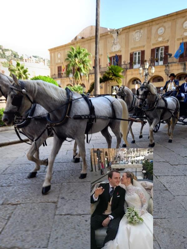 images Da Petronà a Monreale: i cavalli della scuderia Angilletti "accompagnano" le nozze tra il principe di Borbone e lady Charlotte Diana 
