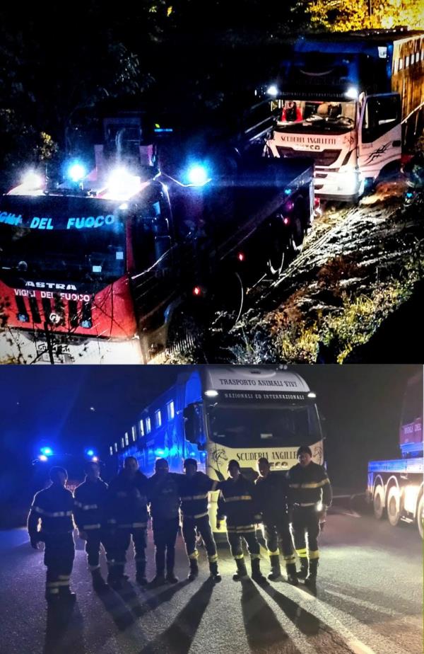 Rimane impantanato con il mezzo con cui trasportava cavalli: disagi sulle strade di Petronà images Rimane impantanato con il mezzo con cui trasportava cavalli: disagi sulle strade di Petronà