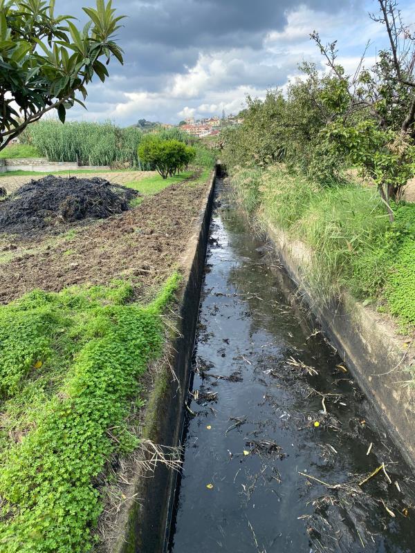 Catanzaro. Canaloni e caditoie stradali: ripuliti quelli di Germaneto e via Trapani images Catanzaro. Canaloni e caditoie stradali: ripuliti quelli di Germaneto e via Trapani