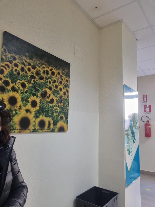 La denuncia di Elio Mauro: "Acqua dal soffitto dell'ambulatorio di Ematologia del Ciaccio" images La denuncia di Elio Mauro: "Acqua dal soffitto dell'ambulatorio di Ematologia del Ciaccio"