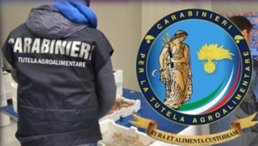 Sequestrate anche in Calabria tonnellate di alimenti: riscontrate violazioni su etichettatura e rintracciabilità images Sequestrate anche in Calabria tonnellate di alimenti: riscontrate violazioni su etichettatura e rintracciabilità