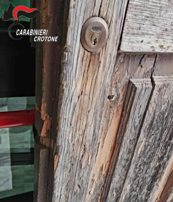 Crotone, ruba un termometro all'interno di una scuola: arrestato un 26enne images Crotone, ruba un termometro all'interno di una scuola: arrestato un 26enne