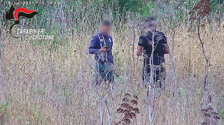 images Crotone, canapa indiana coltivata in un terreno demaniale: nei guai 6 persone