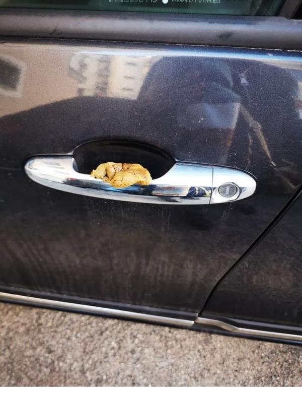 Crotone, imbrattata da escrementi la maniglia della portiera dell'auto della consigliera Mungari images Crotone, imbrattata da escrementi la maniglia della portiera dell'auto della consigliera Mungari