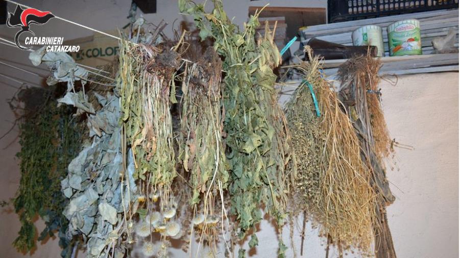 images In casa con 2 chili di marijuana, arrestato 42enne lametino